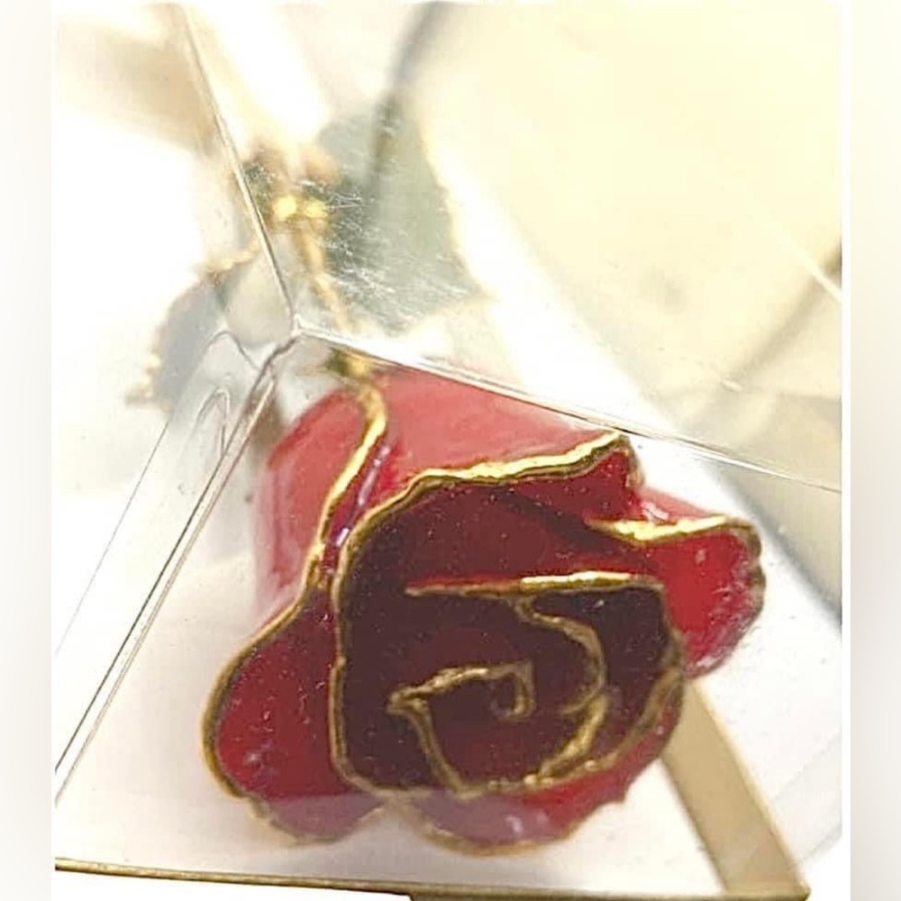 Nib Vintage Stock 24k Gold Dipped Real Red Long S… - image 6